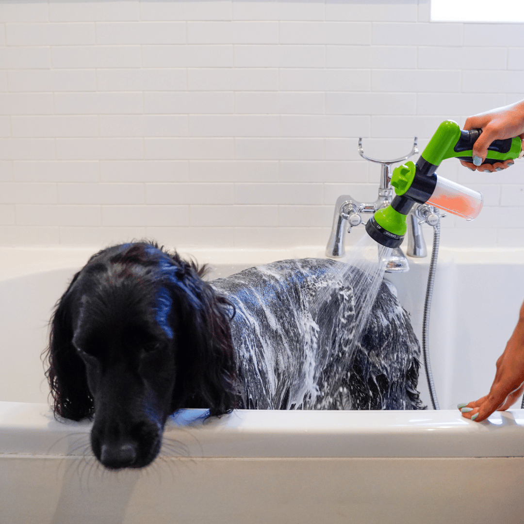 Can you bathe your dog with human shampoo hotsell