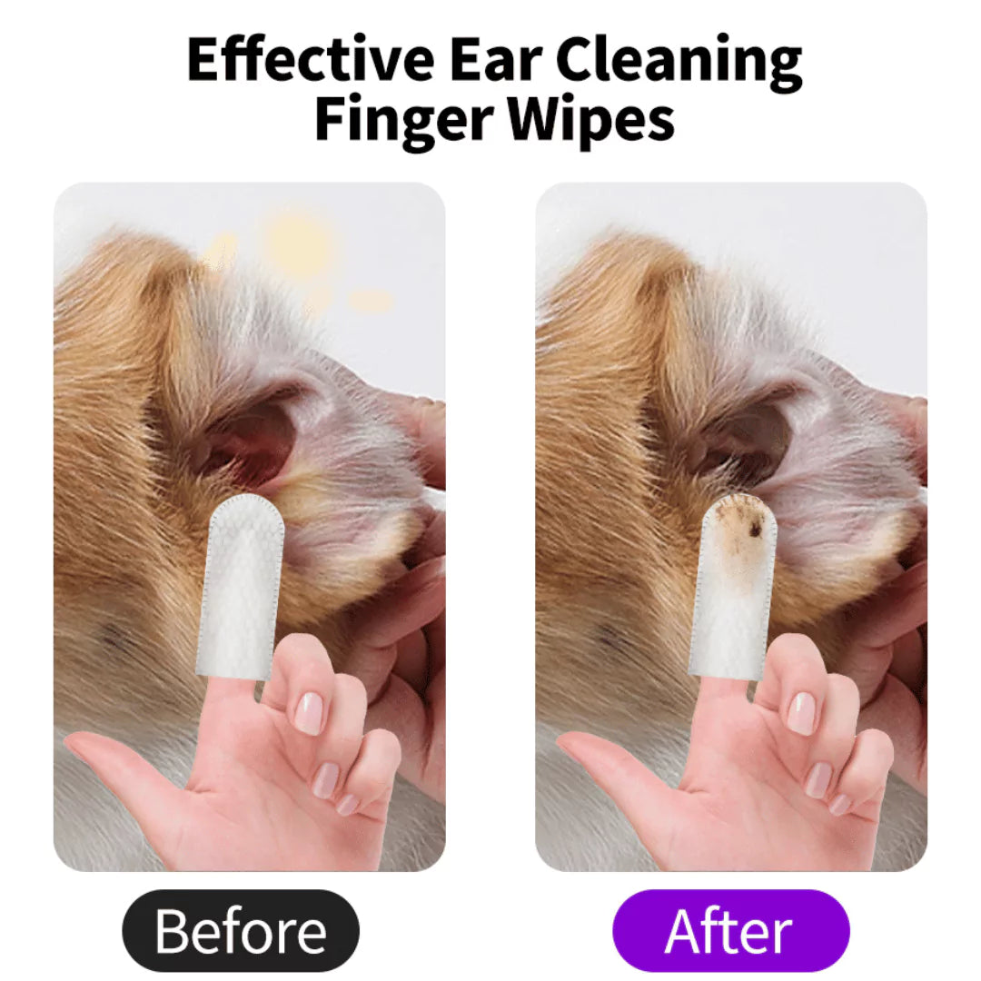 Aquapupz Ear Wipe (50pcs)