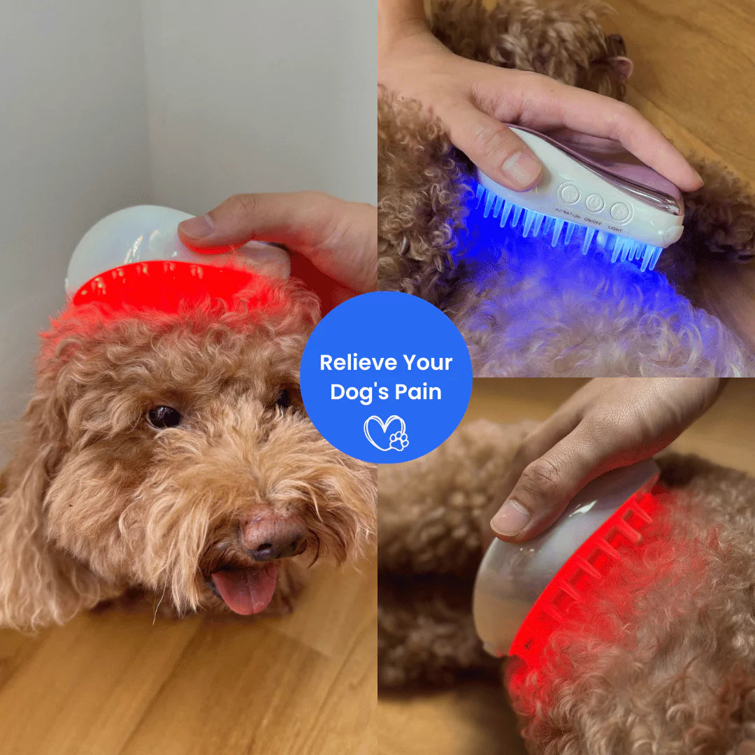 FurSoothe Calming Brush