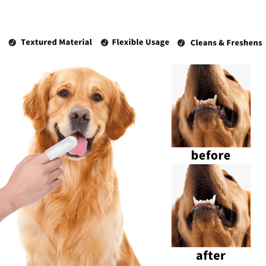 Aquapupz Teeth Wipe (50pcs)