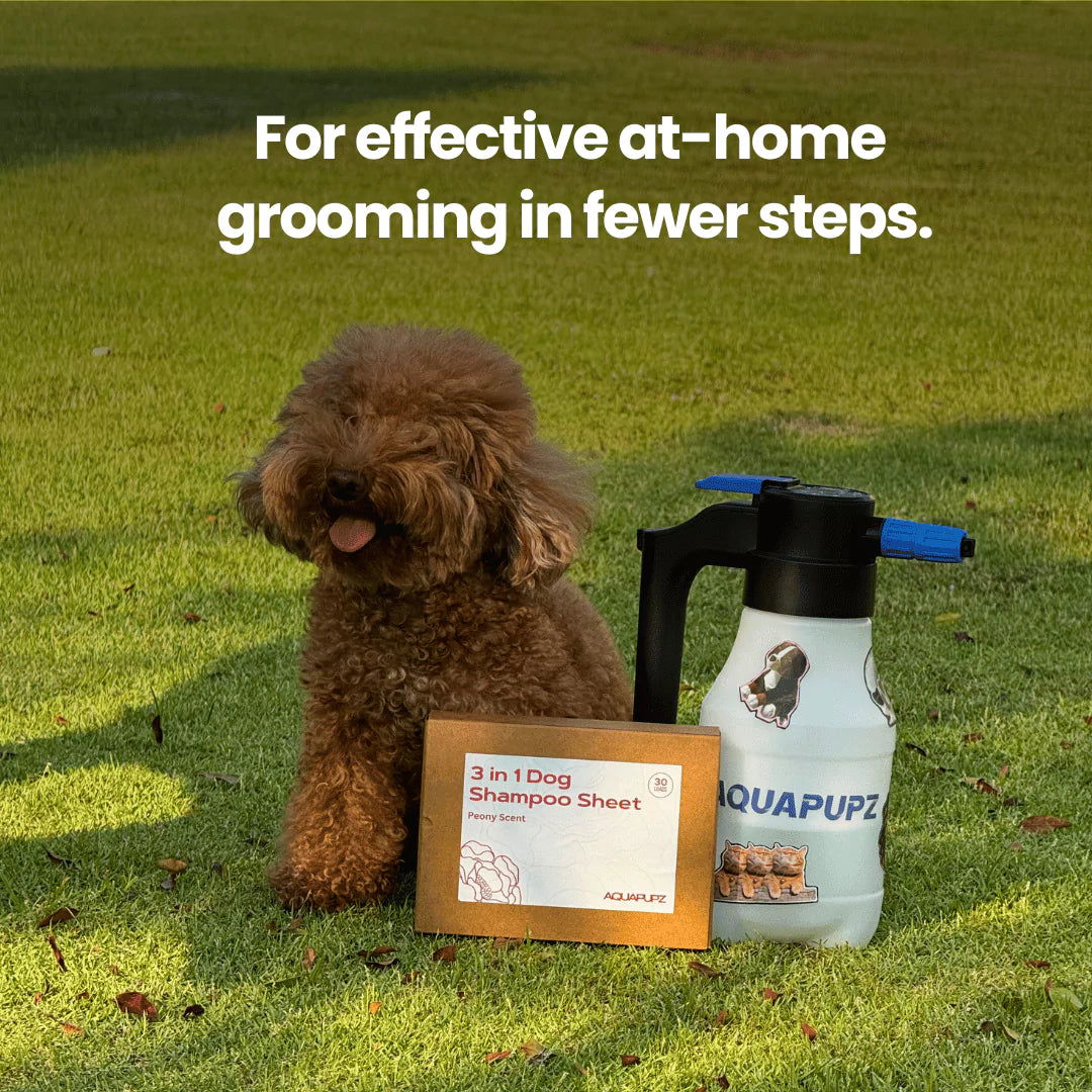 Aquapupz FoamMaster 1.0 (For Big Dog)