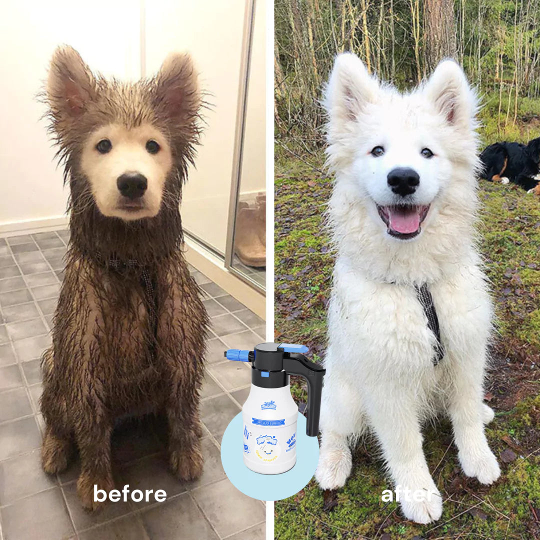 Aquapupz FoamMaster 1.0 (For Big Dog)
