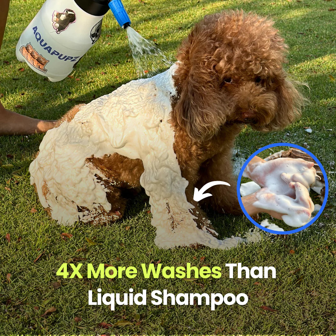 Aquapupz FoamMaster 1.0 (For Big Dog)