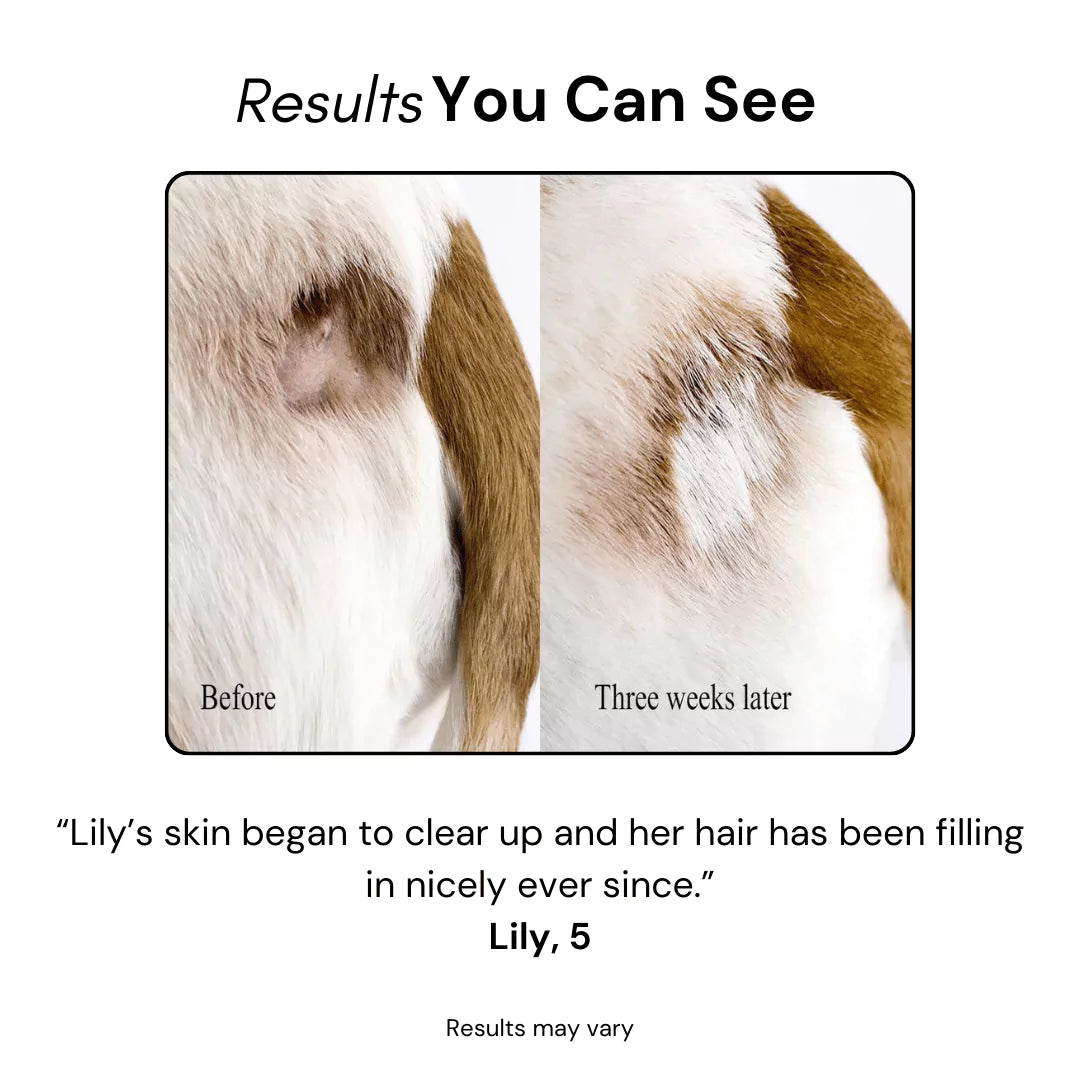 FurSoothe Calming Brush