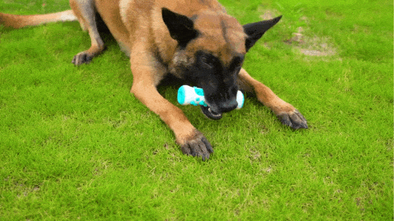 Aquapupz Dog Teeth Cleaning Chew