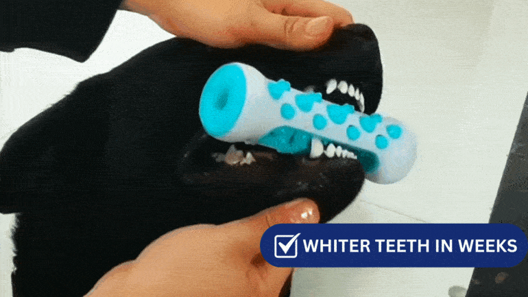Aquapupz Dog Teeth Cleaning Chew