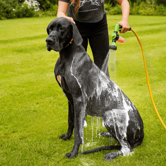 Dog Bath Solutions for Itching: Introducing PupJet