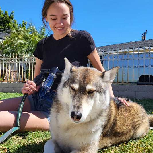 Dog Shower Attachment for Tub: The Ultimate PupJet Guide