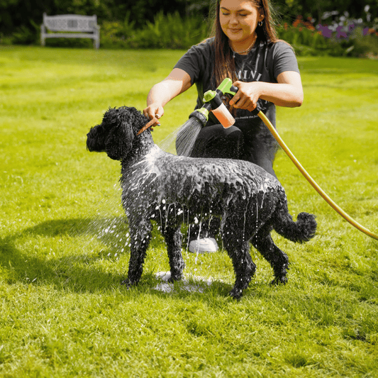 PupJet: The Ultimate Dog Bath Solution