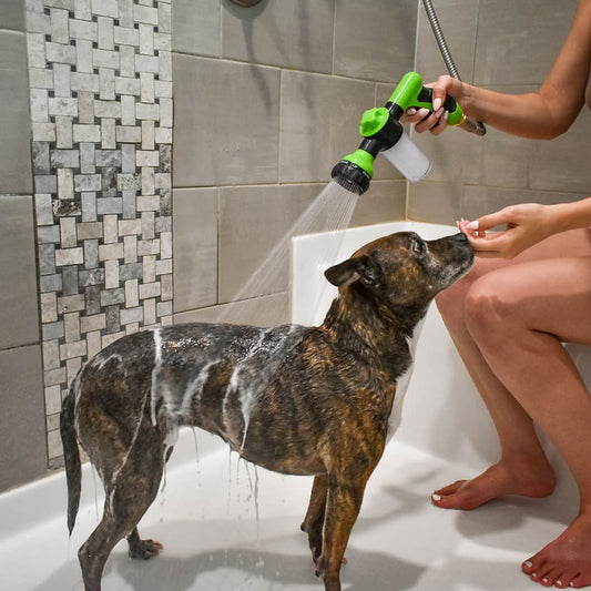 Dog Bath in Winter with PupJet