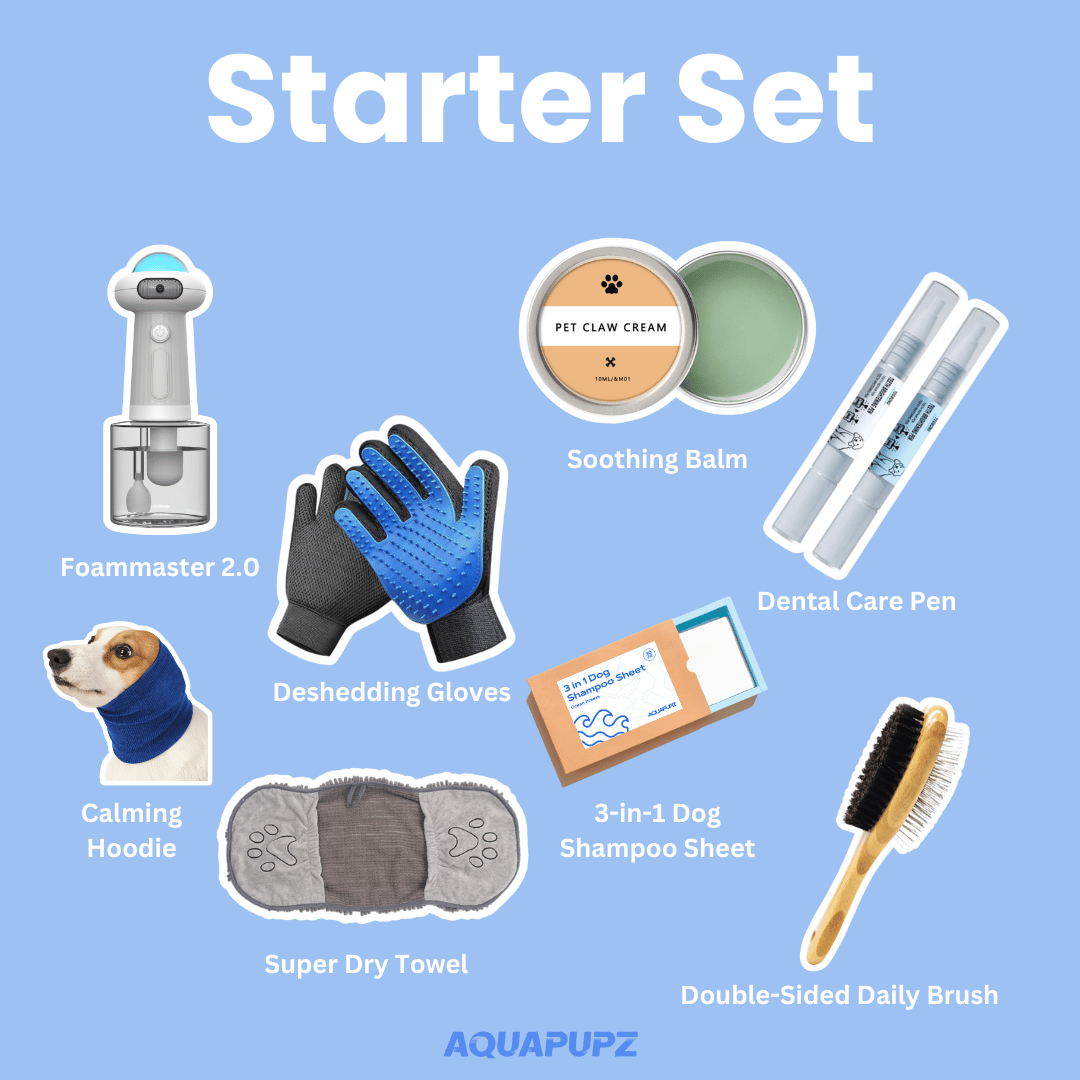 Starter Set