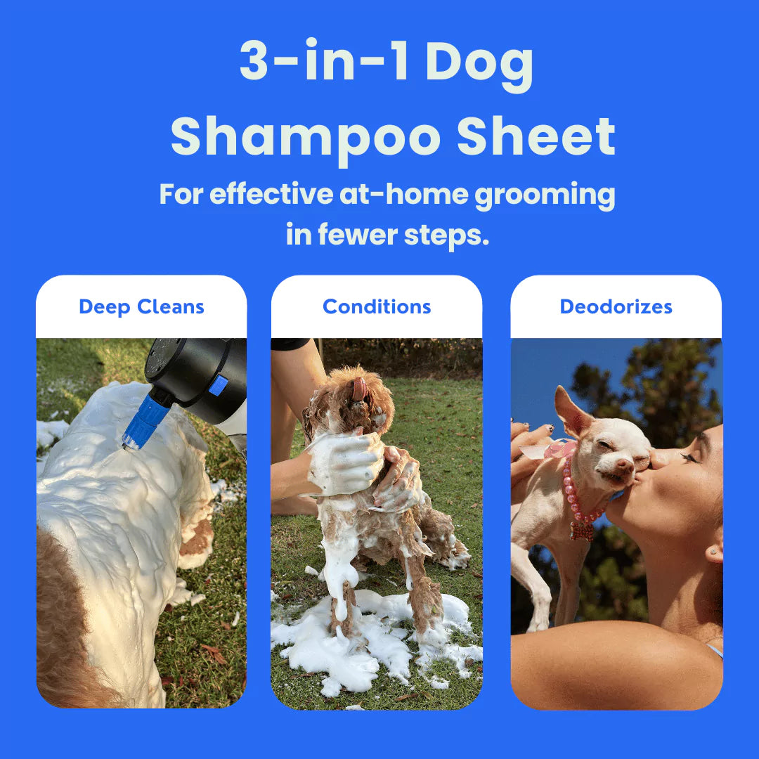 3-in-1 Dog Shampoo Sheet | FurSheet Peony Scent