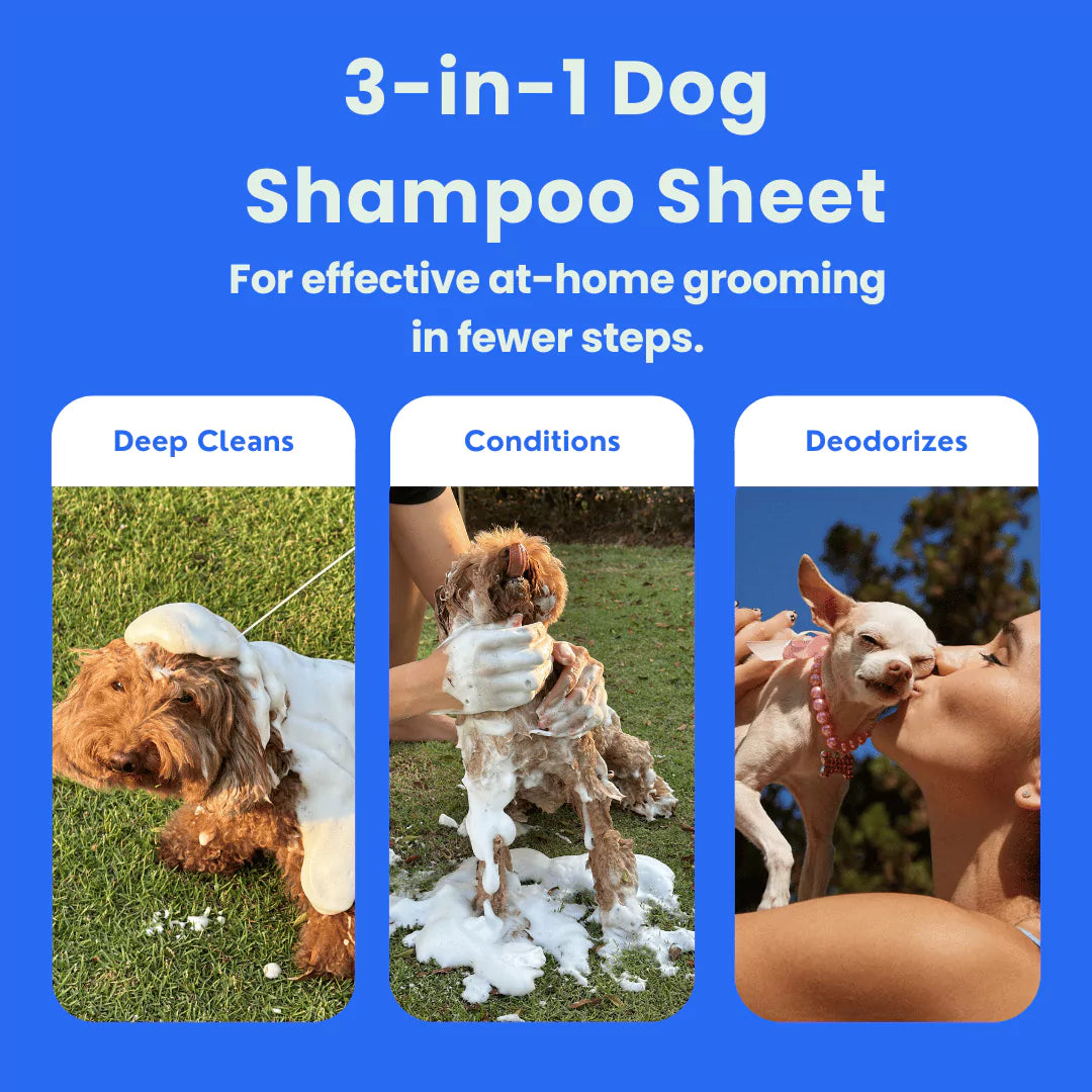 3-in-1 Dog Shampoo Sheet | FurSheet Ocean Breeze